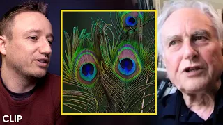 Richard Dawkins discusses manipulation tactics that evolve among birds