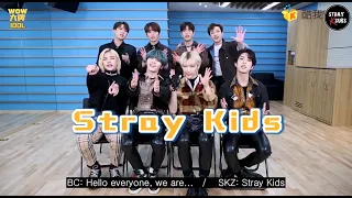 [ENG SUB] 201121 Stray Kids WOW...IDOL! Chinese Interview (WOW大牌)