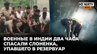 Военные в Индии два часа спасали слоненка, упавшего в резервуар с водой