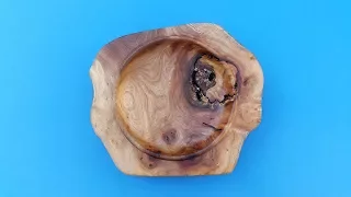 Elm Natural Bowl