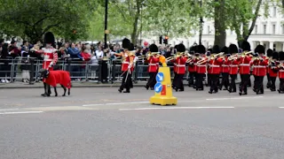 Changing of Guards - Buckingham Palace London UK