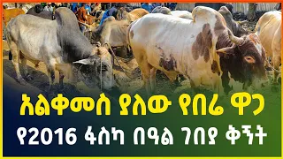 አልቀመስ ያለው የበሬ ዋጋ ! የ2016 የፋስካ በዓል ገበያ ቅኝት | Easter holiday market | Gebeya media | Ethiopia