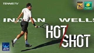 Hot Shot: Federer's 'Gentle' One-Two Punch