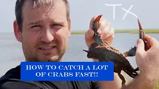 How to Catch and Clean Blue Crabs- Galveston Texas