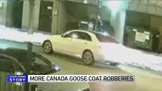 Surveillance video captures Canada Goose coat robbery in South Loop