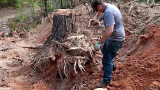 Tree Stump Removal With A Backhoe MAN TIME!