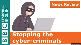 Stopping the cyber-criminals: BBC News Review