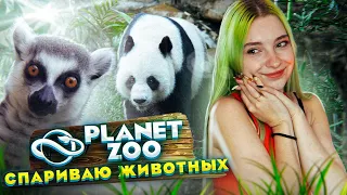 ОБЕЗЬЯНИЙ КАКАШКОКРАД 💚 ► Planet Zoo