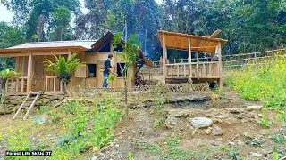 300 Days Living Off Grid - Build and perfect a shelter in the wilderness | Survival instinct