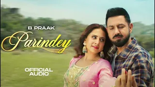 Parindey - B Praak Gippy Grewal, Sargun Mehta Roopi Gill Avvy Sra Latest Punjabi Songs (LOFI SONG)