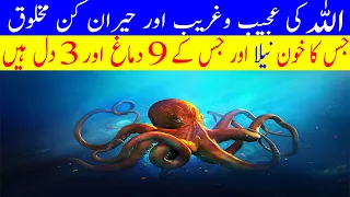 Amazing Facts about Octopus in Urdu/Hindi | Amazing Sea Creatures | Are octopus aliens ?
