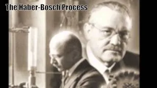 The Haber-Bosch Process: Nitrogen Fixing the World