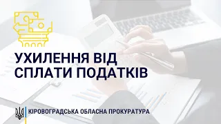 Ухилення від сплати 8,7 млн грн податків: на Кіровоградщині судитимуть керівника підприємства