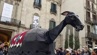 #450Mulassa Sortida de la Cercavila de Mulasses per Santa Eulàlia 2018 I #Gegants #Mulassa