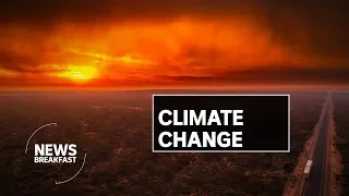 11,000 scientists declare climate emergency warning world faces catastrophic threat | News Breakfast