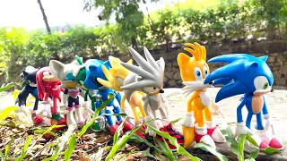 Sonic the hedgehog collection battle vs shadow amy knuckles metal tails eggman  jet silver luigi