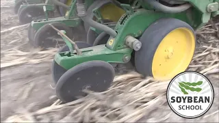 Soybean School: Setting your planter for higher yields