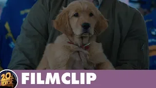 Enzo und die wundersame Welt der Menschen | Offizieller Filmclip: 3 | Deutsch HD German (2019)