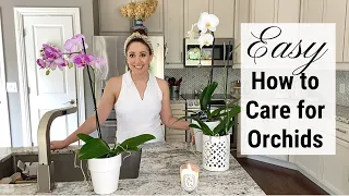 How to Care for Orchids / How to water orchids properly, after bloom care, perfect for beginners!