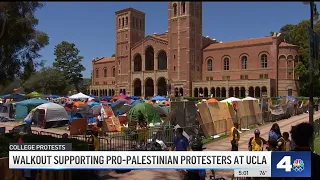 Walkout supporting pro-Palestinian protesters at UCLA