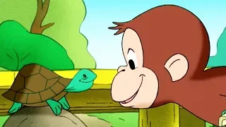 Georges le Petit Singe 🐵Concours De Maquette 🐵Saison 1 🐵Dessins Animés 🐵Animation Pour Enfants