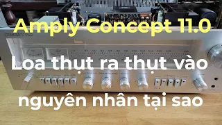 Amply Concept 11.0 loa thụt ra thụt vào nguyên nhân hy hữu