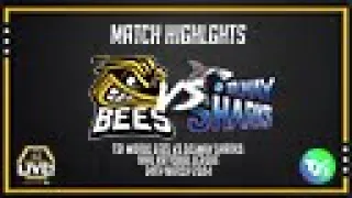 TSI World Bees vs Solway Sharks 24.03.2024