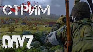 ✅СТРИМ ПО ДЕЙЗИ//ВЫЖИВАЕ НА Vanilla+++//ВЫЖИВАНИЯ С НУЛЯ #dayz