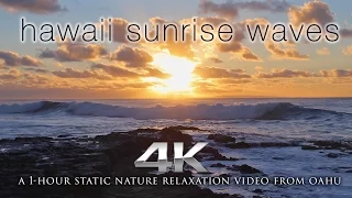 Hawaii Sunrise Waves | a 4K Nature Relaxation Static Video from Oahu with Ocean Sounds