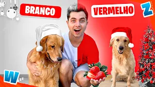 VERMELHO E BRANCO COM OS CACHORROS POR 24 HORAS !