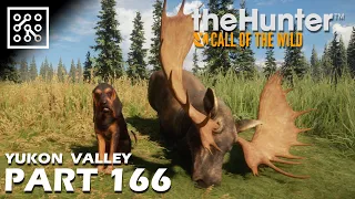 The Hunter: Call of the wild CZ | Co je to SOUSTŘEDENÍ a POUTO? - #166 | Česky