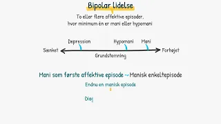 Psykiske lidelser: Bipolar lidelse