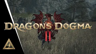 The Best Graphics Guide for 6GB VRAM GTX 1660 Super Dragons Dogma 2