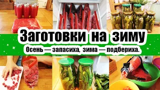 НЕ ЗНАЛА, ЧТО МОЖНО ТАК ЛЕГКО ЗАСОЛИТЬ ОГУРЦЫ!  😳🤩 ◾ ЗАМОРАЖИВАЮ ТОМАТ 🍅 ◾ ЗАПАС ЯГОД