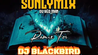 🔥DJ BLACKBIRD X SONLYMIX  (VIBE TIKTOK)🔥