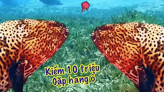 Hơn 10 Triệu - Gặp Hang Ổ Cá Mú Đắt Đỏ Khi Lặn Ở Độ Sâu 10 Sải Tay | VĂN GẪM TV (tập 8)