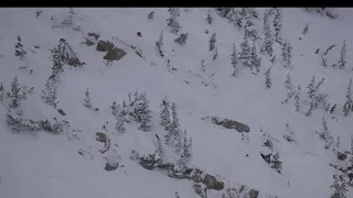 Tim Shepard Final Run - Freehel Life Cup 2018 Big Mountain Telemark Comp - Grand Targhee, WY