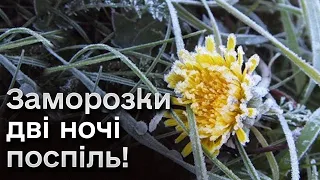 ❗❄️ УВАГА! Дві ночі поспіль будуть ЗАМОРОЗКИ!