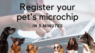 Register your pet's microchip in 5 minutes