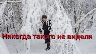 Отрезанные от мира на хуторе в лесу . Про канал яндекс.дзен . Карп в печи по новому рецепту