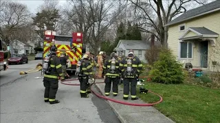 Firefighters rescue two dogs from home