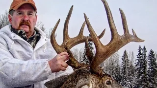 Saskatchewan Archery Whitetail Hunt