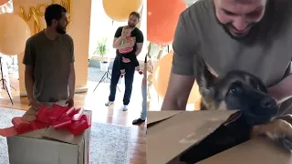 Husband Gets His Dream Puppy As Surprise Birthday Present