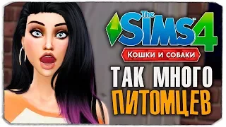 ТАК МНОГО ПИТОМЦЕВ У СОФИ! - The Sims 4 "Кошки и Собаки" ▮