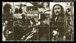 Crosby, Stills, Nash & Young ► Almost Cut My Hair [HQ Audio] Déjà Vu 1970