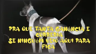 pra que tanta ganância e correria se ninguém veio aqui para fica/equipe sauba oficial 💥