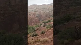 Flash flooding at Capitol Reef National Park * Capitol Reef Flood