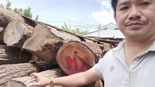 Bào gỗ đóng thùng nuôi ong