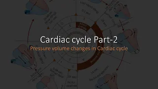 Pressure volume changes in cardiac cycle