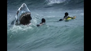 Top 10 Worst SHARK Attacks Ever Recorded